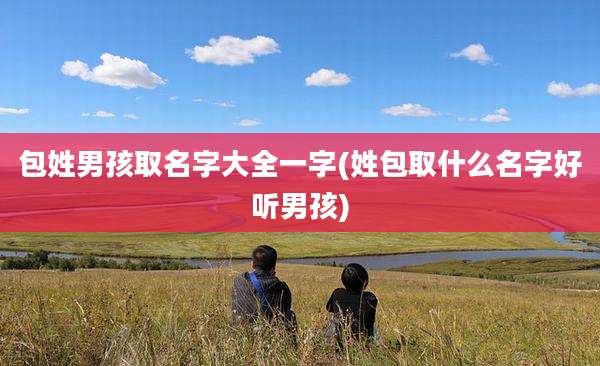包姓男孩取名字大全一字(姓包取什么名字好听男孩)