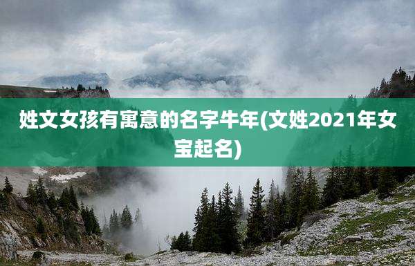 姓文女孩有寓意的名字牛年(文姓2021年女宝起名)