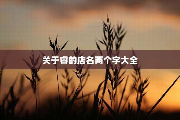 关于睿的店名两个字大全