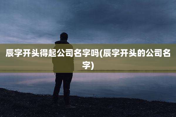 辰字开头得起公司名字吗(辰字开头的公司名字)