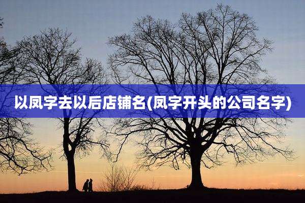 以凤字去以后店铺名(凤字开头的公司名字)