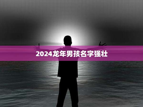 2024龙年男孩名字强壮
