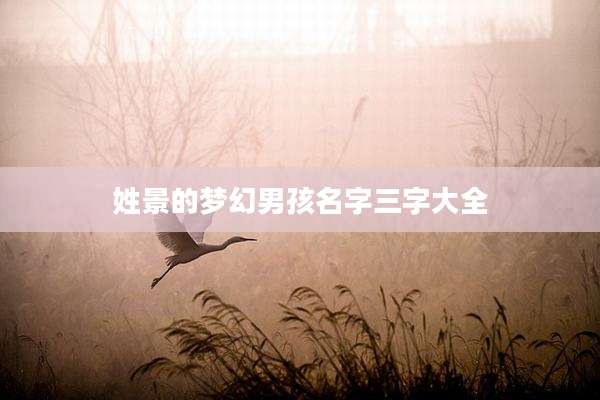 姓景的梦幻男孩名字三字大全