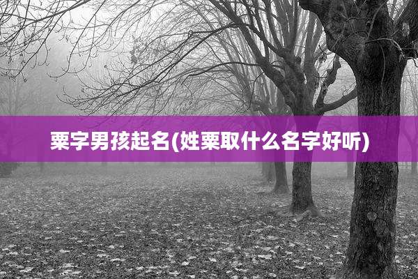 粟字男孩起名(姓粟取什么名字好听)