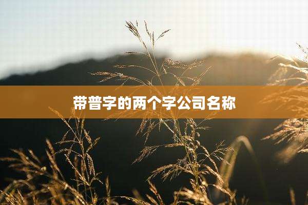 带普字的两个字公司名称