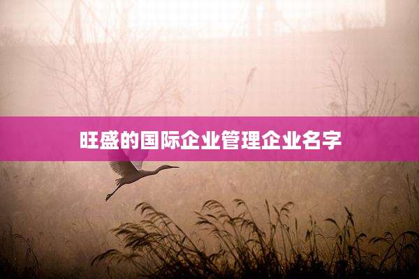 旺盛的国际企业管理企业名字
