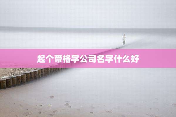 起个带格字公司名字什么好