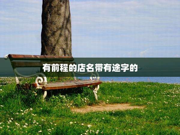 有前程的店名带有途字的