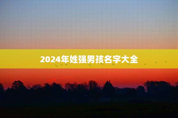 2024年姓强男孩名字大全