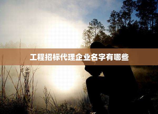 工程招标代理企业名字有哪些