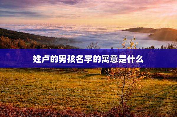 姓卢的男孩名字的寓意是什么