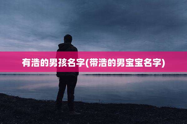 有浩的男孩名字(带浩的男宝宝名字)