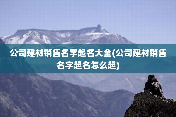 公司建材销售名字起名大全(公司建材销售名字起名怎么起)