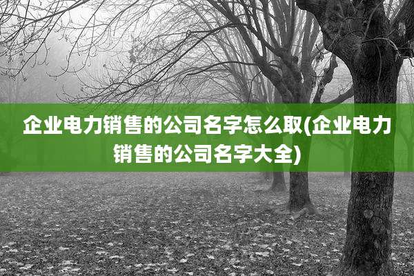 企业电力销售的公司名字怎么取(企业电力销售的公司名字大全)