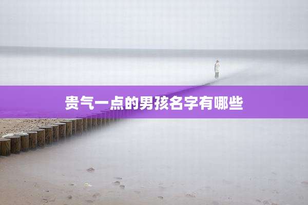 贵气一点的男孩名字有哪些