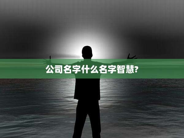 公司名字什么名字智慧?