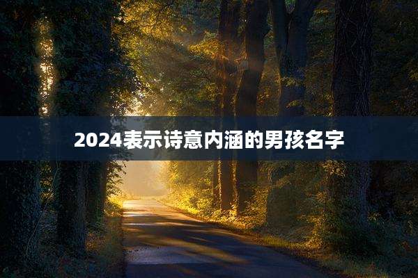 2024表示诗意内涵的男孩名字