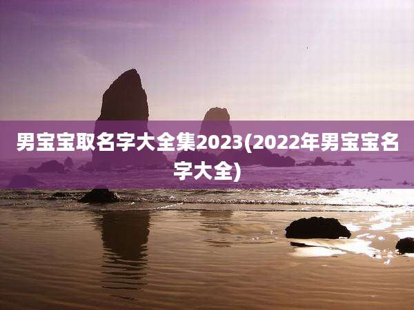 男宝宝取名字大全集2023(2022年男宝宝名字大全)