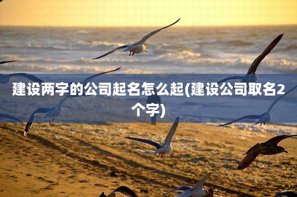 建设两字的公司起名怎么起(建设公司取名2个字)