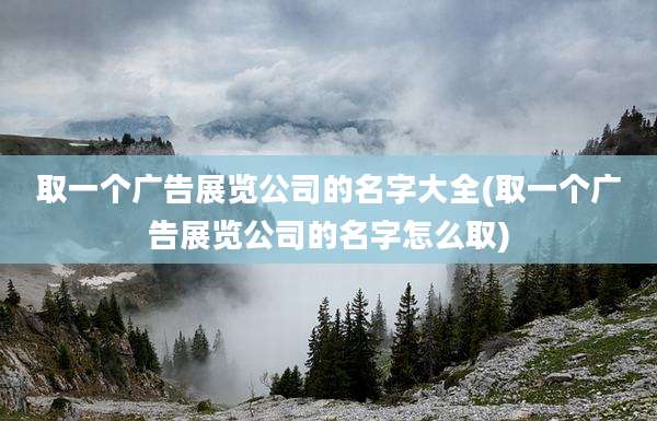 取一个广告展览公司的名字大全(取一个广告展览公司的名字怎么取)