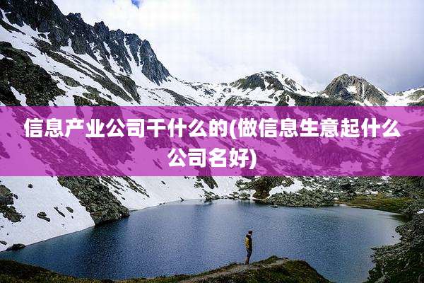 信息产业公司干什么的(做信息生意起什么公司名好)