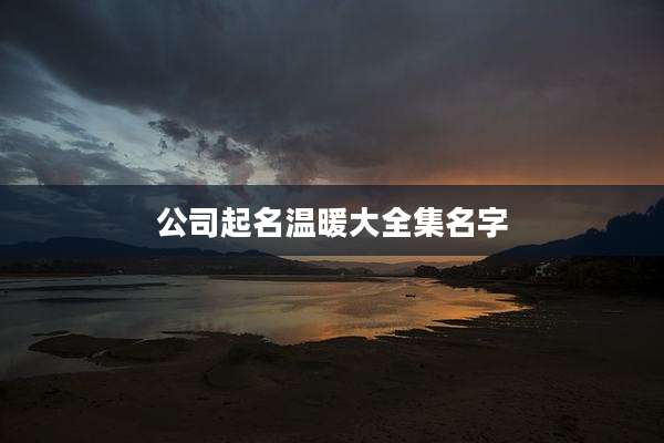 公司起名温暖大全集名字
