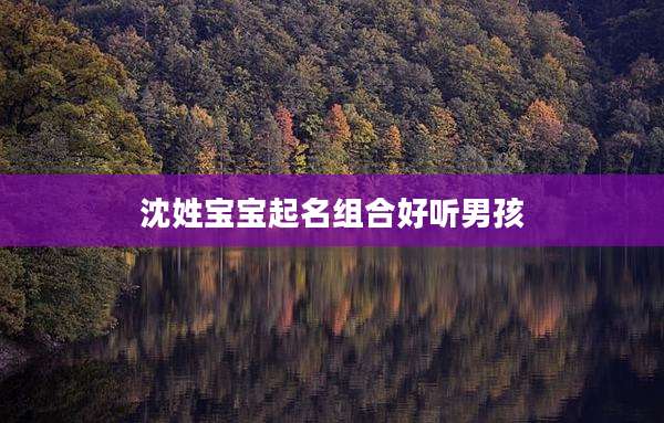 沈姓宝宝起名组合好听男孩