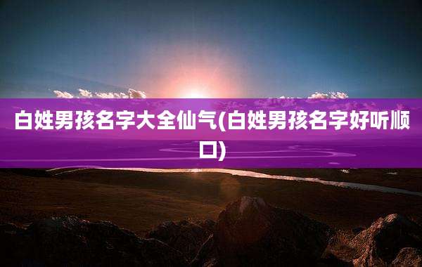 白姓男孩名字大全仙气(白姓男孩名字好听顺口)