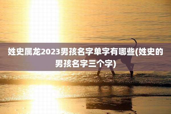 姓史属龙2023男孩名字单字有哪些(姓史的男孩名字三个字)