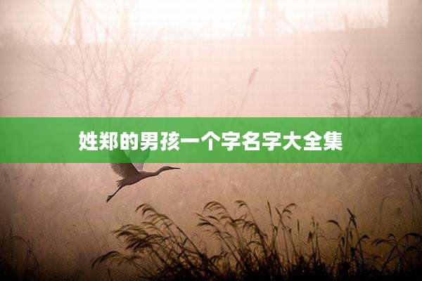 姓郑的男孩一个字名字大全集