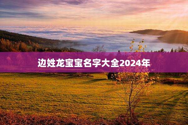 边姓龙宝宝名字大全2024年