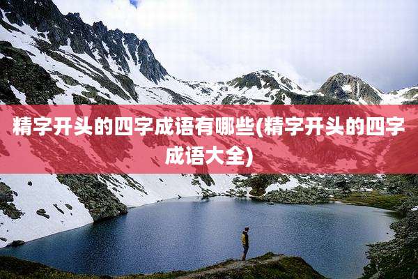 精字开头的四字成语有哪些(精字开头的四字成语大全)