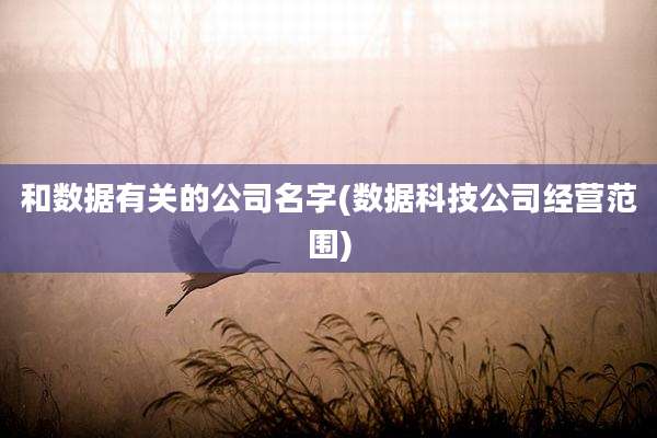 和数据有关的公司名字(数据科技公司经营范围)