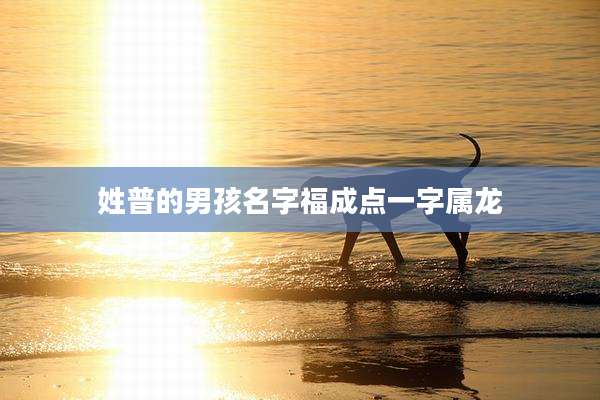 姓普的男孩名字福成点一字属龙