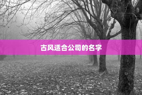 古风适合公司的名字