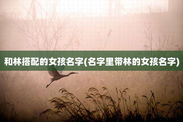 和林搭配的女孩名字(名字里带林的女孩名字)