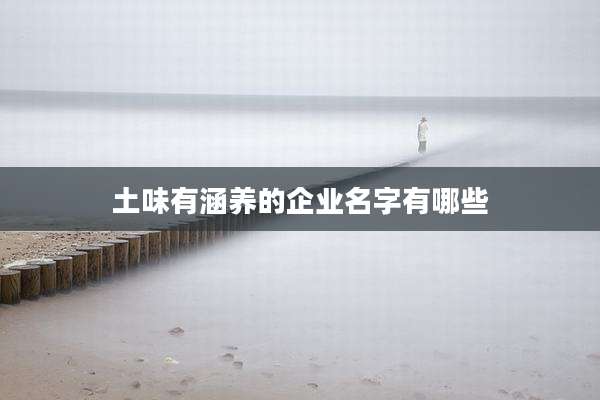 土味有涵养的企业名字有哪些