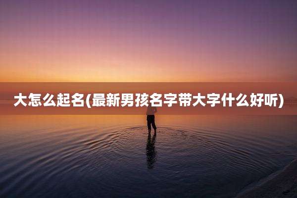 大怎么起名(最新男孩名字带大字什么好听)