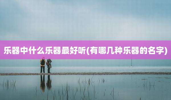 乐器中什么乐器最好听(有哪几种乐器的名字)