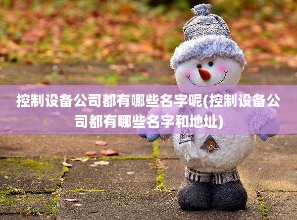 控制设备公司都有哪些名字呢(控制设备公司都有哪些名字和地址)
