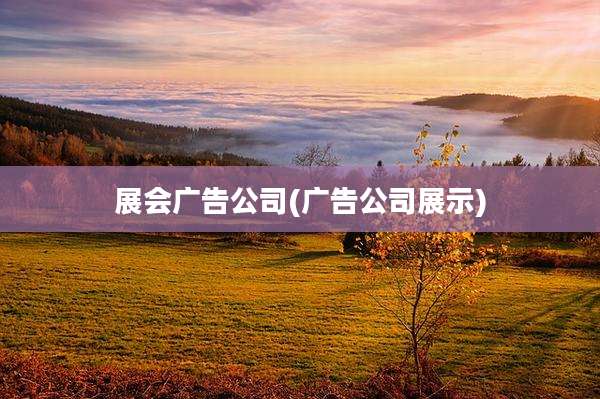 展会广告公司(广告公司展示)