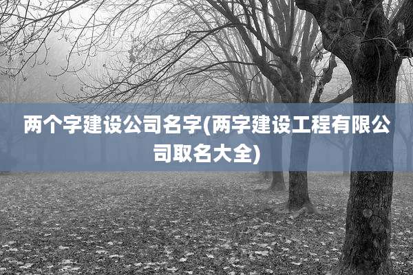 两个字建设公司名字(两字建设工程有限公司取名大全)