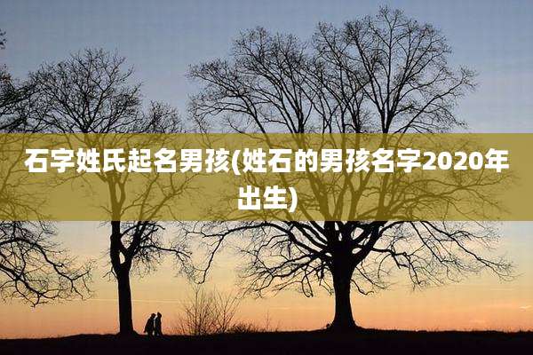 石字姓氏起名男孩(姓石的男孩名字2020年出生)