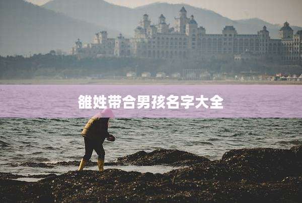 雒姓带合男孩名字大全