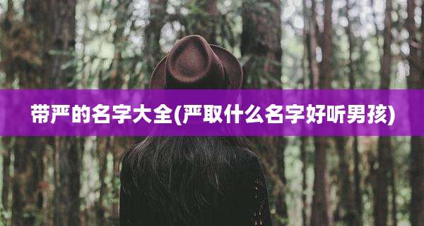 带严的名字大全(严取什么名字好听男孩)