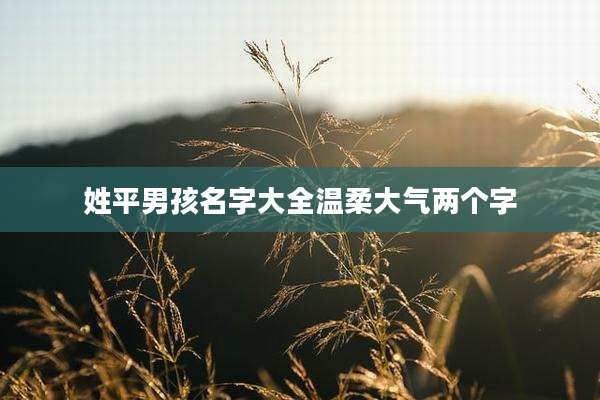 姓平男孩名字大全温柔大气两个字