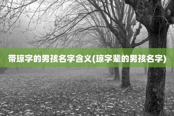 带琼字的男孩名字含义(琼字辈的男孩名字)