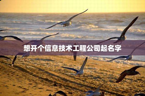 想开个信息技术工程公司起名字