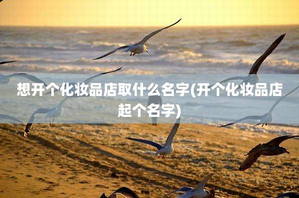 想开个化妆品店取什么名字(开个化妆品店起个名字)