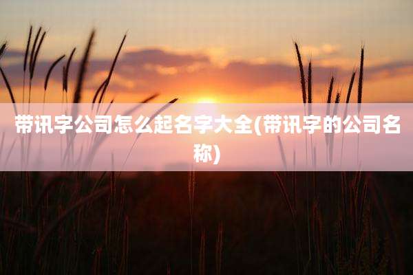 带讯字公司怎么起名字大全(带讯字的公司名称)